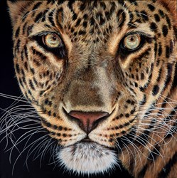 Watching and Waiting by Gina Hawkshaw - Original Painting on Stretched Canvas sized 24x24 inches. Available from Whitewall Galleries